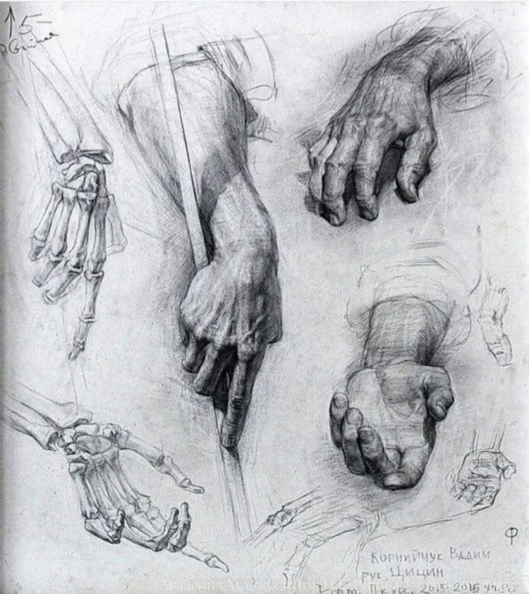 Академические зарисовки рук