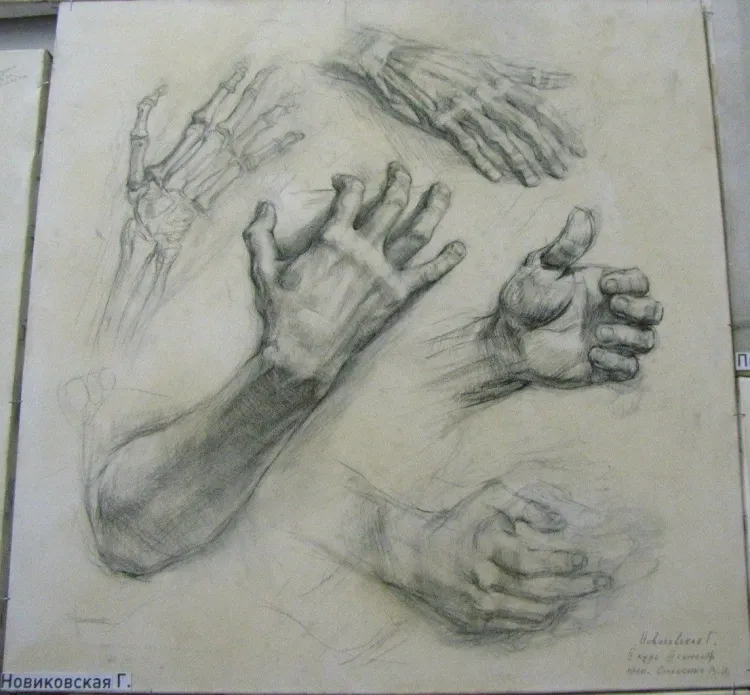 Академический рисунок руки