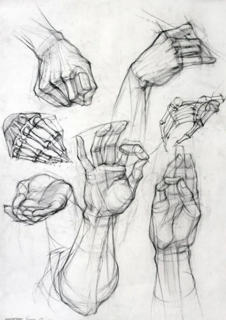 Академический рисунок руки