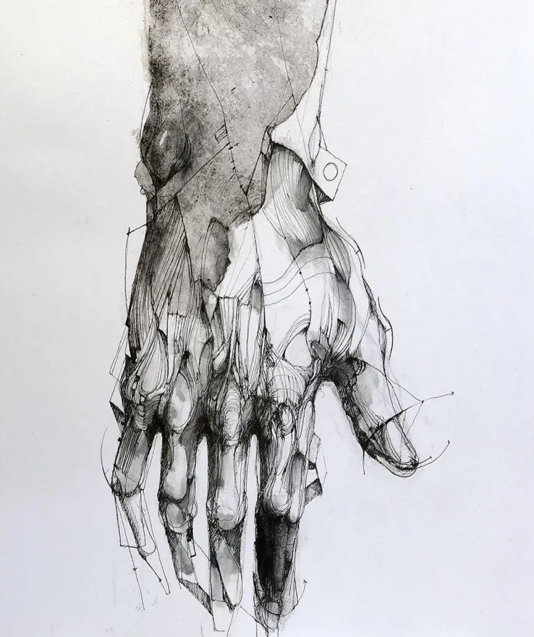 Рисунок рук и ног человека