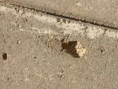 Дефекты на поверхности тротуарной плитки