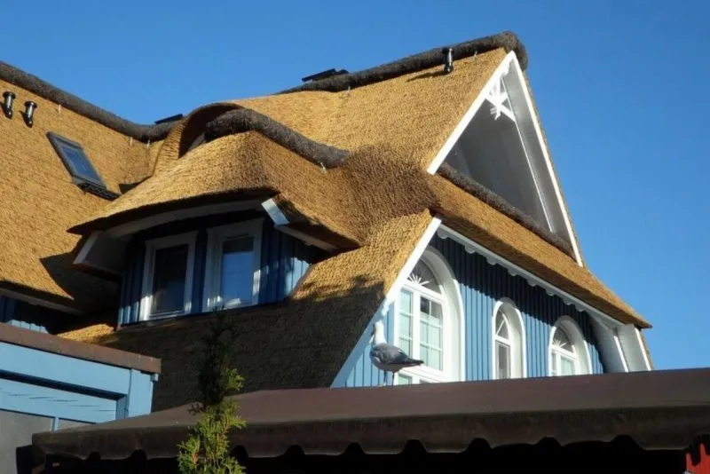 Необычные крыши деревянных домов